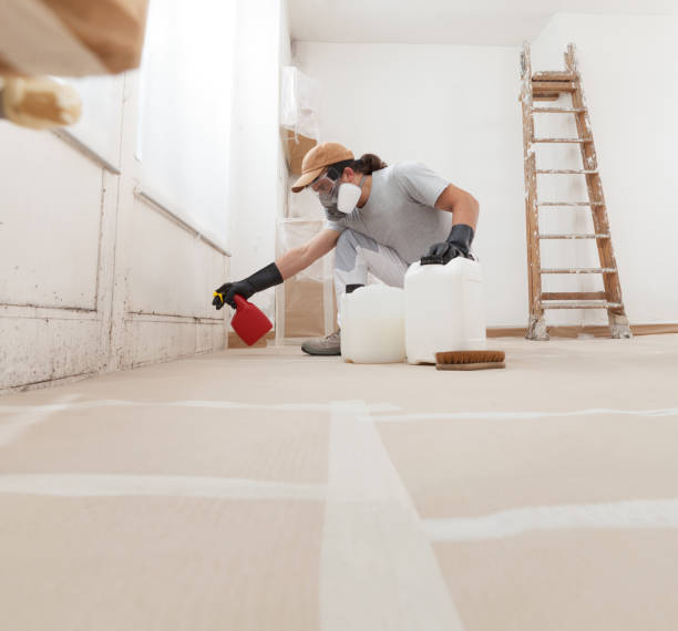 Best Dehumidification Services  in Bovina, TX
